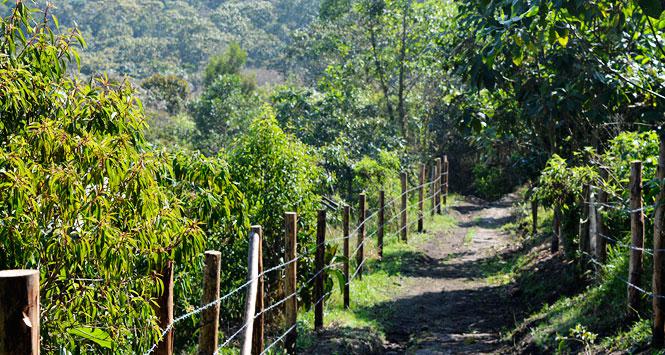 Semana del Turismo 2016 en Sabaneta, Antioquia Semana del Turismo 2016 en Sabaneta, Antioquia