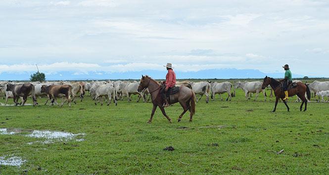 Casanare fortalece el turismo de naturaleza con el apoyo de Cooperación Suiza Casanare fortalece el turismo de naturaleza con el apoyo de Cooperación Suiza