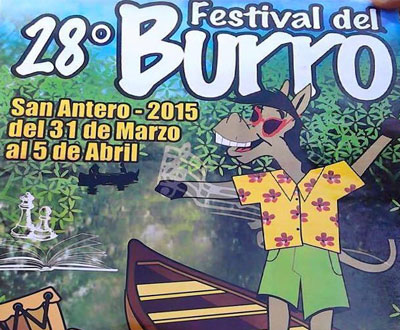 Festival Nacional del Burro 2015 en San Antero, Córdoba