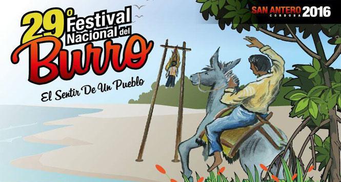 Festival Nacional del Burro 2016 en San Antero, Córdoba Festival Nacional del Burro 2016 en San Antero, Córdoba