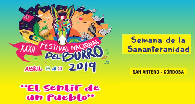 Festival Nacional del Burro 2019 en San Antero, Córdoba Festival Nacional del Burro 2019 en San Antero, Córdoba