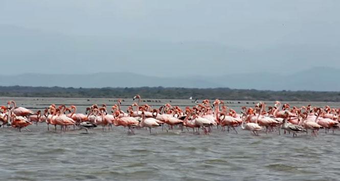 Santuario Los Flamencos