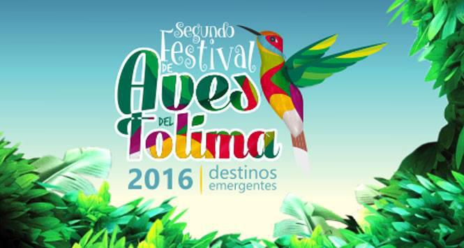 Festival de Aves del Tolima en Murillo, Anzoátegui, Melgar y Roncesvalles Festival de Aves del Tolima en Murillo, Anzoátegui, Melgar y Roncesvalles