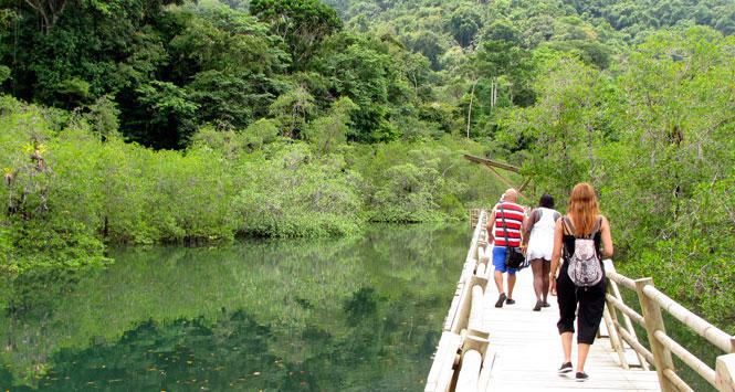 Habilitan nuevo sendero turístico en el PNN Ensenada de Utría Habilitan nuevo sendero turístico en el PNN Ensenada de Utría