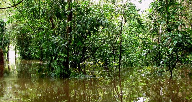Vía Parque Isla de Salamanca