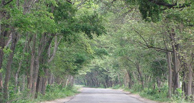 Rutas Seguras Viaja por Colombia del 13 al 15 de agosto de 2016 Rutas Seguras Viaja por Colombia del 13 al 15 de agosto de 2016