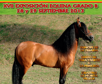 Exposición Equina Grado B en Villeta, Cundinamarca Exposición Equina Grado B en Villeta, Cundinamarca