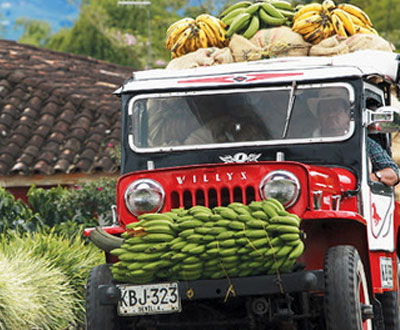 Colombia: tras el perfume del oro negro, La Razón de España Colombia: tras el perfume del oro negro, La Razón de España