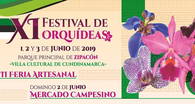 Festival de Orquídeas 2019 en Zipacón, Cundinamarca