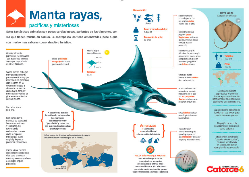 Agenda del Mar 2015