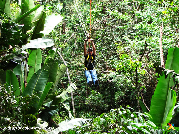 Canopy Tanimboca Leticia