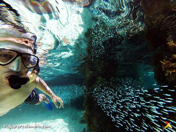 Snorkeling Providencia