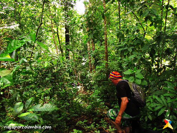 Selva Bahia Solano