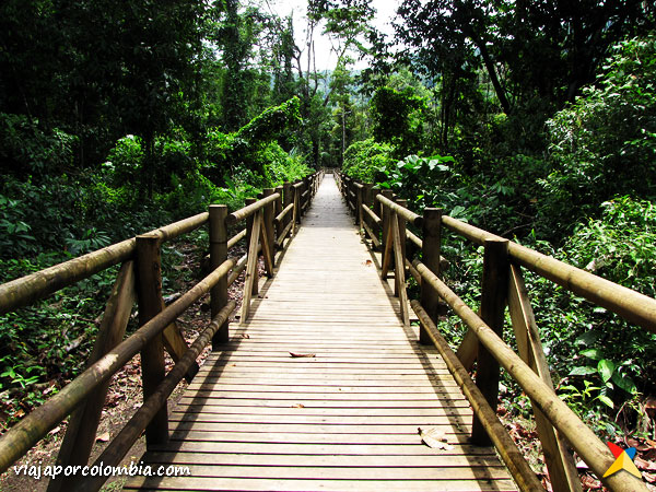 Parque Utria Bahia Solano