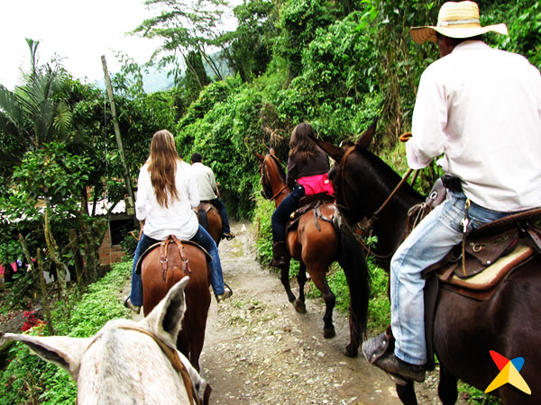 Fredonia, Antioquia