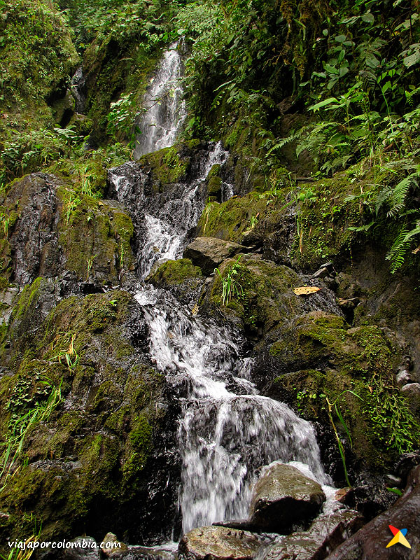 Proaves Chocó