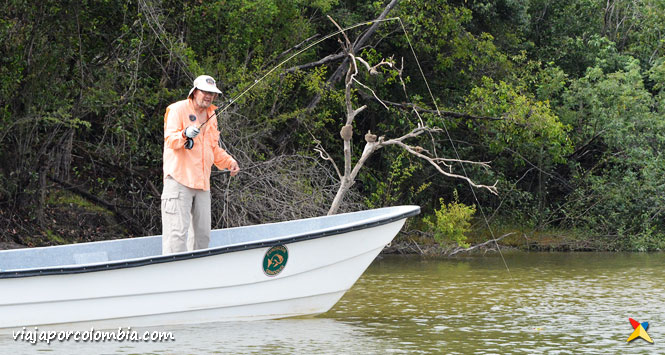 Pesca deportiva fundacion orinoquia