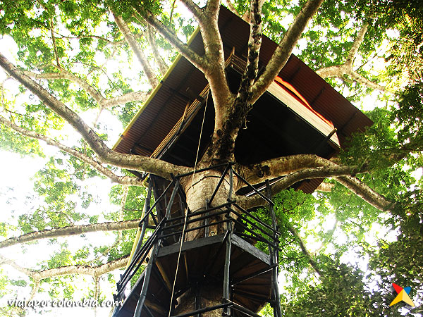 Casa en el Árbol de Paway