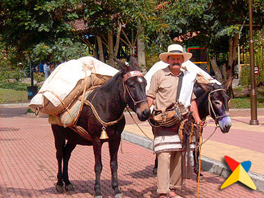 Berango conocer hombres Berango conocer hombres