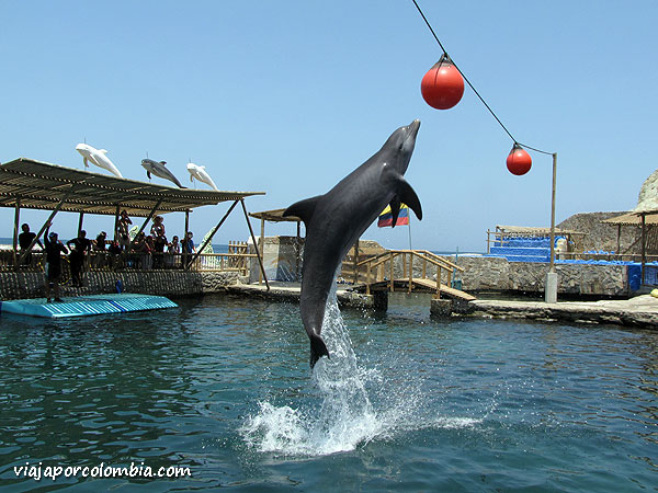 Acuario Rodadero