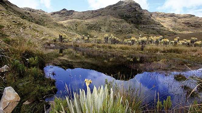 Santuario de Fauna y Flora de Iguaque