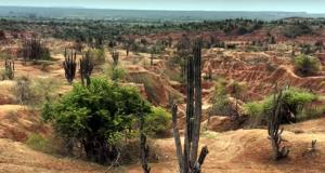 Desierto de la Tatacoa