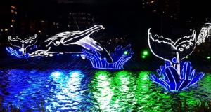 La magia de Colombia ilumina la Navidad 2020 en Medellín
