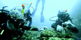 Buceo en Bahía Solano