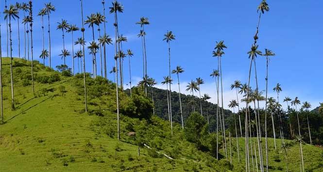 lugares para conocer en quindio