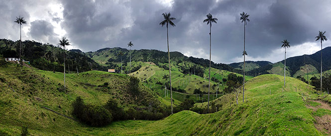 valle de la samaria caldas